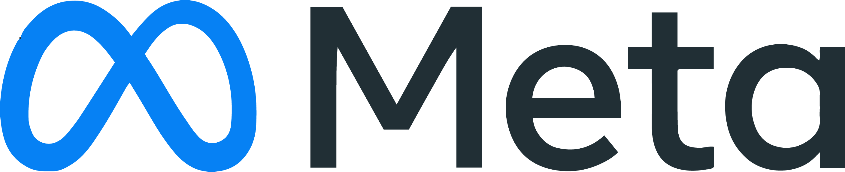 Meta Logo